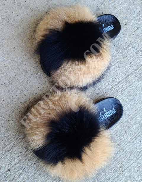 BROWN AND BLACK FOXY